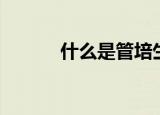 什么是管培生（管培生的解释）