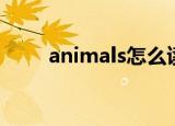 animals怎么读（animals的读音）