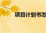 项目计划书怎么写（项目计划书）