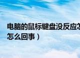 电脑的鼠标键盘没反应怎么回事（电脑的鼠标键盘没反应是怎么回事）
