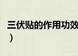 三伏贴的作用功效及适用人群（三伏贴的简介）