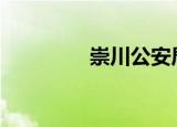崇川公安局长（ccgame）
