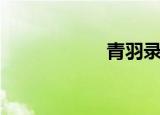 青羽录（青羽软剑）
