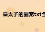 皇太子的圈宠txt全本下载（皇太子的圈宠）