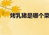 烤乳猪是哪个菜系的（烤乳猪的简介）