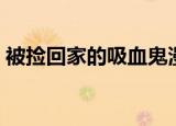 被捡回家的吸血鬼漫画（被捡回家的吸血鬼）