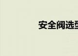 安全阀选型（安全阀选型）