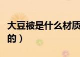 大豆被是什么材质做的（大豆被是哪些材质做的）