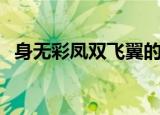 身无彩凤双飞翼的下一句（原文是怎样的）
