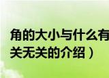 角的大小与什么有关与什么无关（角的大小有关无关的介绍）