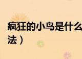 疯狂的小鸟是什么意思（疯狂的小鸟是什么玩法）