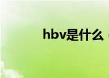 hbv是什么（hbv是什么意思）