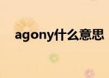 agony什么意思（agony的意思是什么）