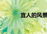 宜人的风景（宜人的近义词）