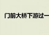 门前大桥下游过一群鸭儿歌（门前大桥下）
