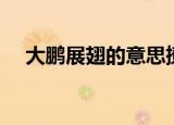 大鹏展翅的意思撩骚（大鹏展翅的意思）