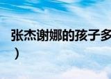 张杰谢娜的孩子多大了（张杰谢娜的孩子几岁）
