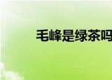 毛峰是绿茶吗（毛峰是不是绿茶）