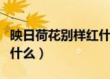 映日荷花别样红什么意思（映日荷花别样红指什么）
