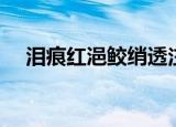 泪痕红浥鲛绡透注解（泪痕红浥鲛绡透）