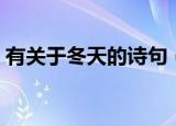 有关于冬天的诗句（有关于冬天的诗句大全）