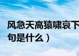风急天高猿啸哀下一句（风急天高猿啸哀下一句是什么）