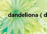 dandeliona（dandelion是什么软件）