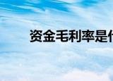 资金毛利率是什么（毛利率是什么）