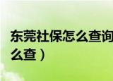 东莞社保怎么查询（东莞社保个人账户查询怎么查）