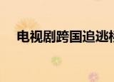 电视剧跨国追逃桥段（电视剧跨国追逃）