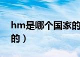 hm是哪个国家的品牌（hm是什么时候成立的）