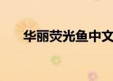 华丽荧光鱼中文版（华丽荧光鱼攻略）