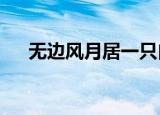 无边风月居一只白菜（无边风月居txt）