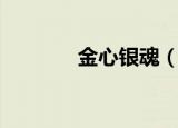 金心银魂（金心银魂金手指）