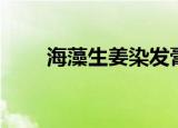 海藻生姜染发膏（海藻生姜洗发水）