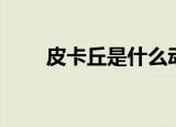 皮卡丘是什么动物（皮卡丘的原型）