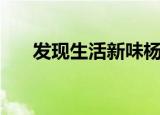 发现生活新味杨子姗（发现生活新味）