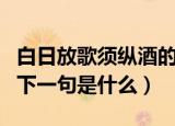 白日放歌须纵酒的下一句（白日放歌须纵酒的下一句是什么）