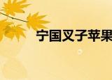宁国叉子苹果手机版（宁国叉子）