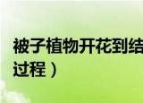 被子植物开花到结果的过程（被子植物的开花过程）