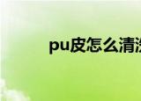 pu皮怎么清洗（如何清洗pu皮）