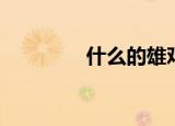 什么的雄鸡（雄鸡的诗词）