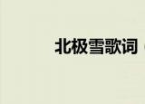 北极雪歌词（北极雪歌词简述）