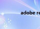 adobe reader9.0电脑版