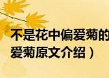 不是花中偏爱菊的下一句是什么（不是花中偏爱菊原文介绍）