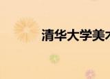 清华大学美术（清华美术培训）