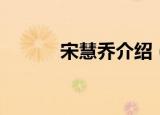 宋慧乔介绍（宋慧乔个人简介）