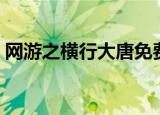 网游之横行大唐免费阅读（网游之横行大唐）