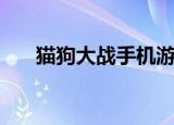 猫狗大战手机游戏（猫狗大战小游戏）