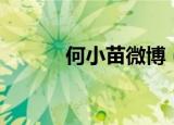 何小苗微博（何小苗网易博客）